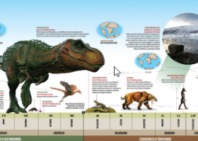 Línia del temps de la història de la Terra. | Recurso educativo 7902691