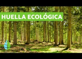 ¿Qué es la HUELLA ECOLÓGICA? ? CALCULAR huella ecológica | Recurso educativo 7903096